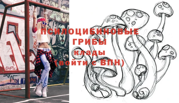 мет Жердевка