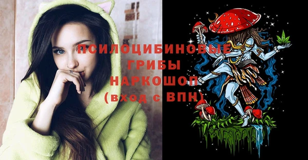крисы Дрезна