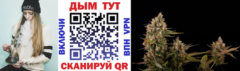дарк нет наркотические препараты  Лыткарино  МАРИХУАНА Ganja  закладки 